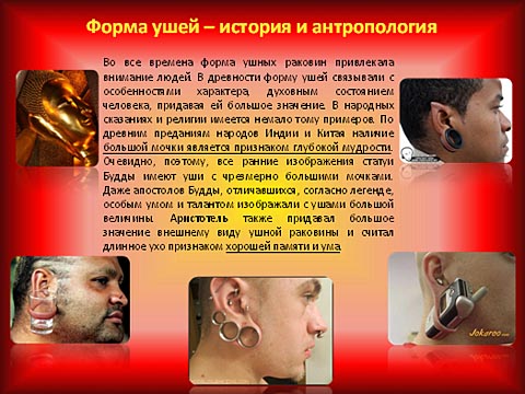 Форма ушей - история и антропология
