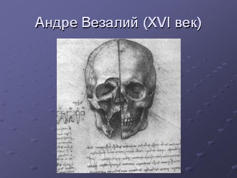Андре Везалий