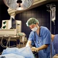 Department of Anesthesiology and Intensive Care Medicine (Intensive Care Unit)
