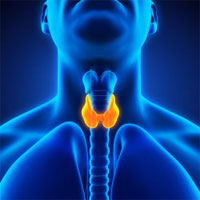 Center of Mammology and Endocrine Surgery