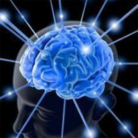 Department of Neurology and Clinical Neurophysiology