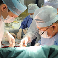 Department of Cardiovascular Surgery