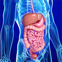 Department of Surgical Treatment of Cancer Patients (Surgery Department №1)