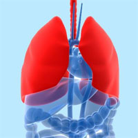 Department of Thoracic Surgery